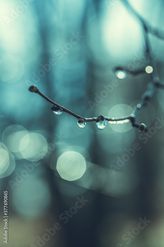 Wassertropfen
