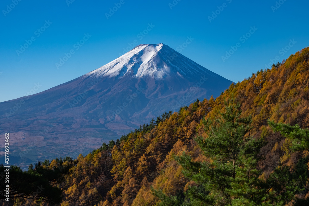  富士山と三ツ峠山の紅葉