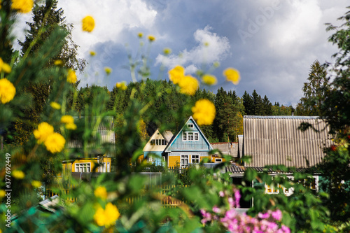 Fényképezés A typical russian summer village in the greenery of trees and flowers on a warm sunny day