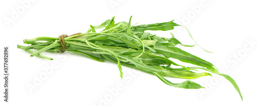 Water spinach , Morning Glory on white background.