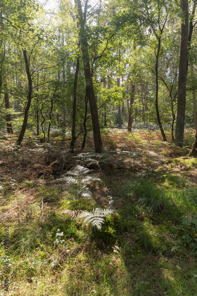Fototapeta premium An industrial building in Zelhem, The Netherlands