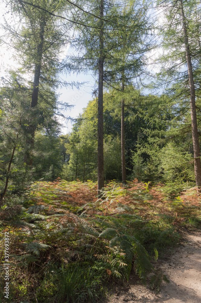Fototapeta premium An industrial building in Zelhem, The Netherlands