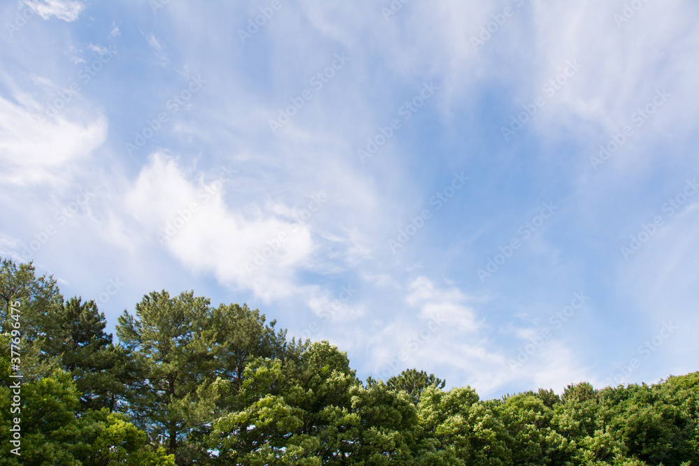 青空と雲 青空と雲