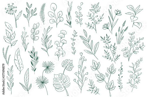 Botanical elements, outline graphic pack. Plants set in sketch style vector illustration. Green leaves, wildflower and herbs ornament. Perfect for invitations, greeting cards, floral patterns design