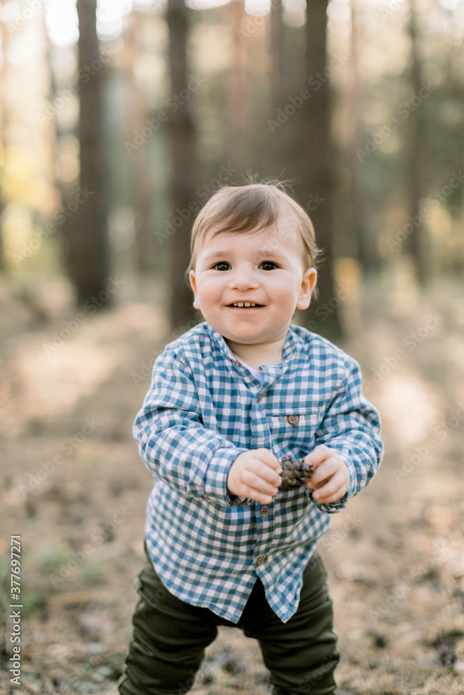 Little baby boy in the stylish casual checkered shirt and dark pants, standing in beautiful autumn pine forest, holding in hands a cone and looking at camera with smile Little baby boy in the stylish casual checkered shirt and dark pants, standing in beautiful autumn pine forest, holding in hands a cone and looking at camera with smile