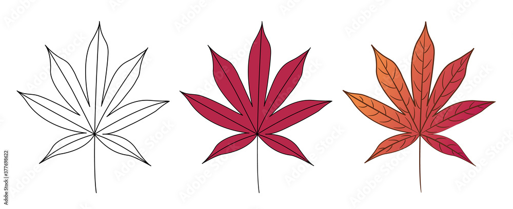 Japanese red maple tree autumn red leaf. Drawing by steps. Isolated on white. Vector illustration. Japanese red maple tree autumn red leaf. Drawing by steps. Isolated on white. Vector illustration.