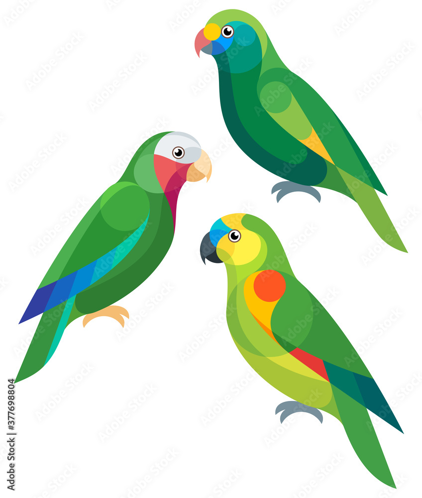 Stylized Amazon Parrots - Blue-cheeked Amazon,  Blue-fronted Amazon and Cuban Amazon
