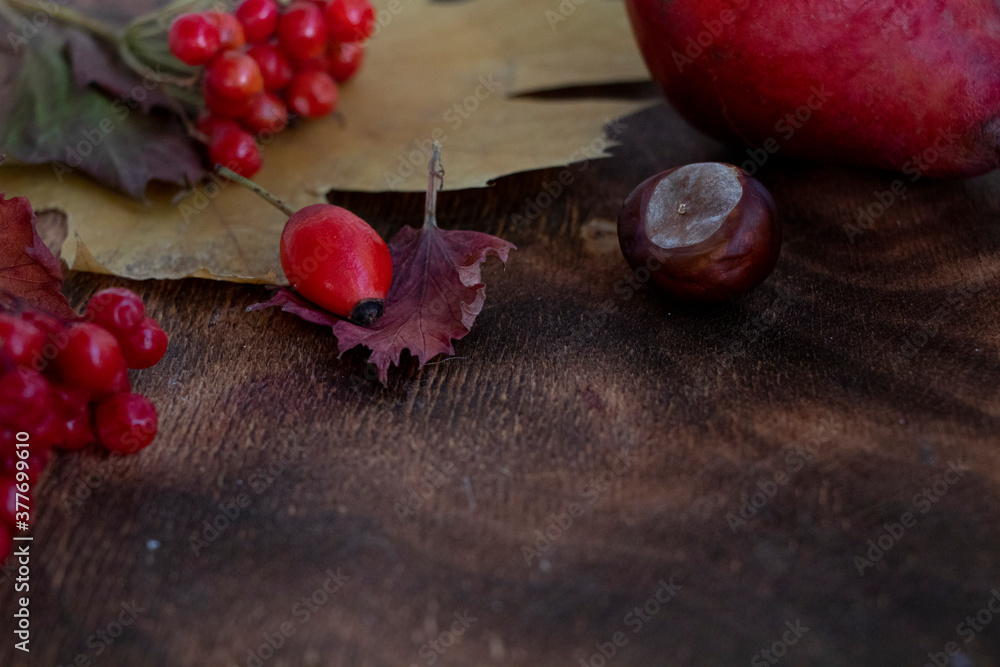 Pumpkin with viburnum. Autumn composition on a wooden background. Nice.