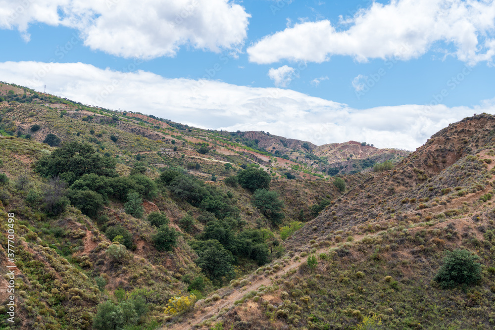 Fototapeta premium Mountainous landscape with vegetation in southern Spain