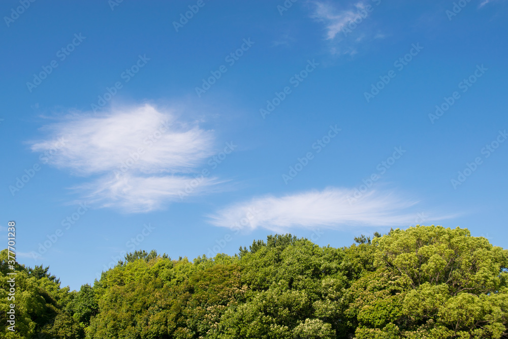 青空と雲 青空と雲