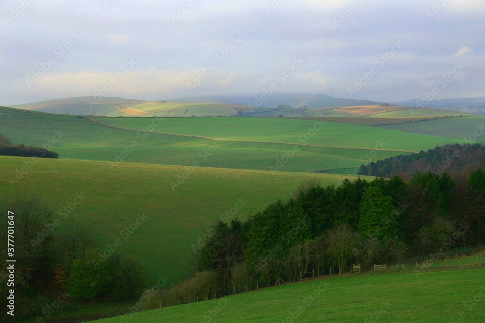 landscape with green grass and blue sky landscape with green grass and blue sky