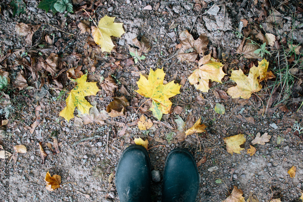 Obraz premium Woman in black rubber boots surrounded by yellow autumn leaves, foliage in Sweden, view from above