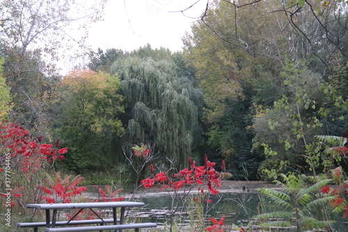 jardin