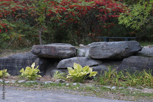 jardin