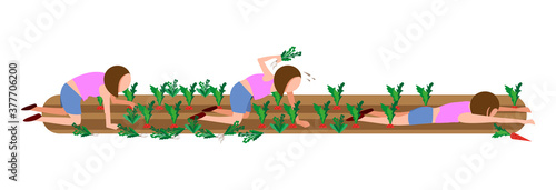 The girl weeds the beds. Humorous illustration. Vector image on a white background.
