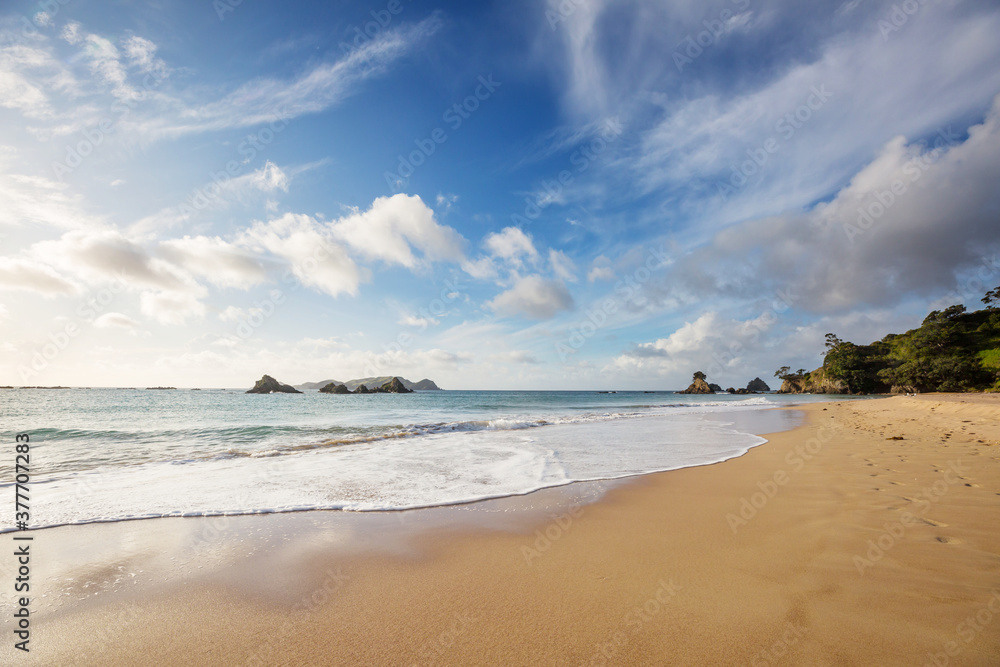 New Zealand coast