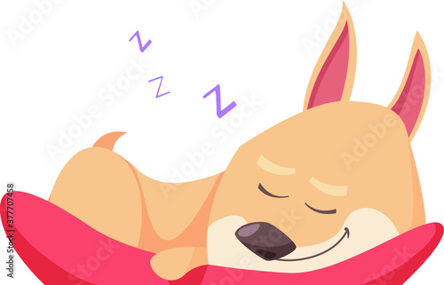 hilarious naughty cartoon doggie corgi doing pranks and playing