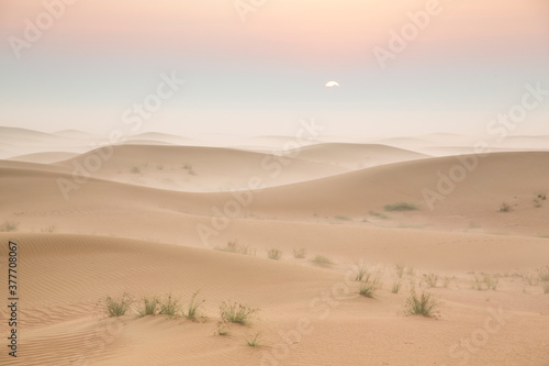 Fototapeta Naklejka Na Ścianę i Meble -  sunrise in a misty desert