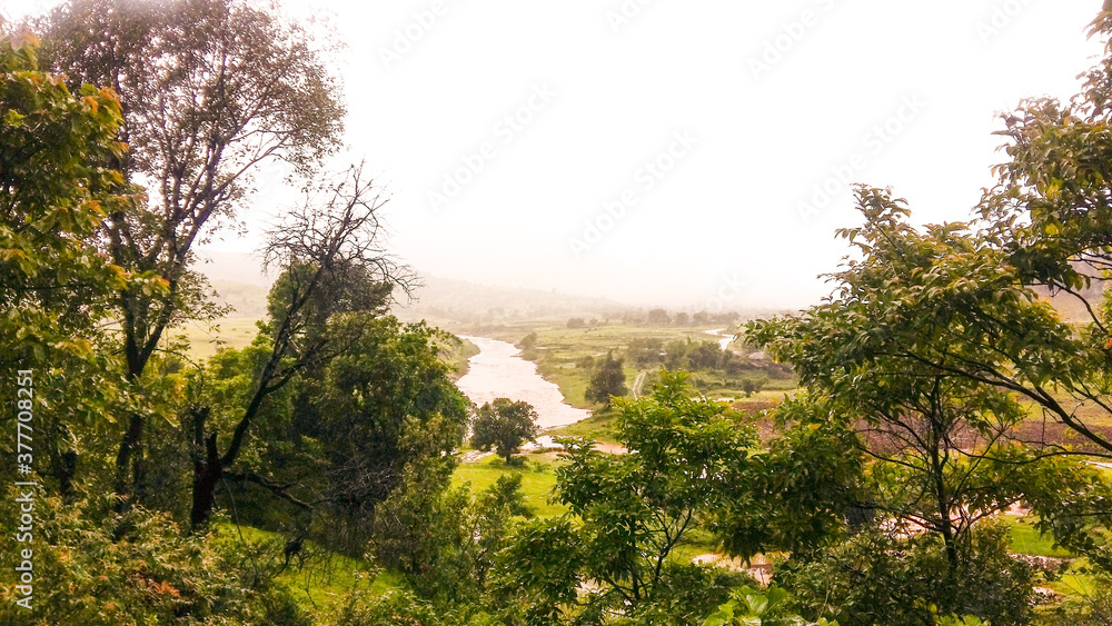 Fototapeta premium Morning view in the forest, Maharastra.