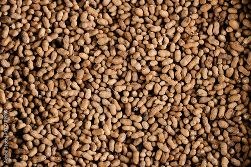 Close-up bean photography picture