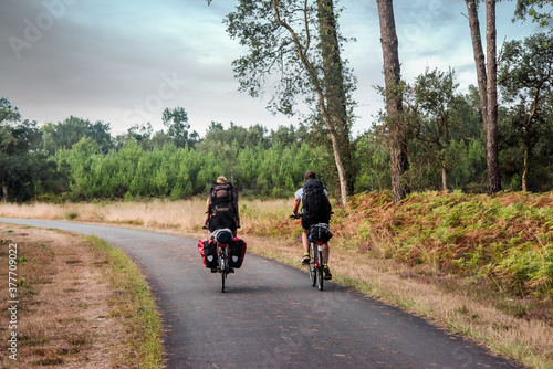 cyclists in the Landes forest in the south west of France