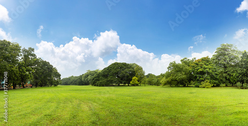 Scenic view of the park with green grass field in the city © sichon