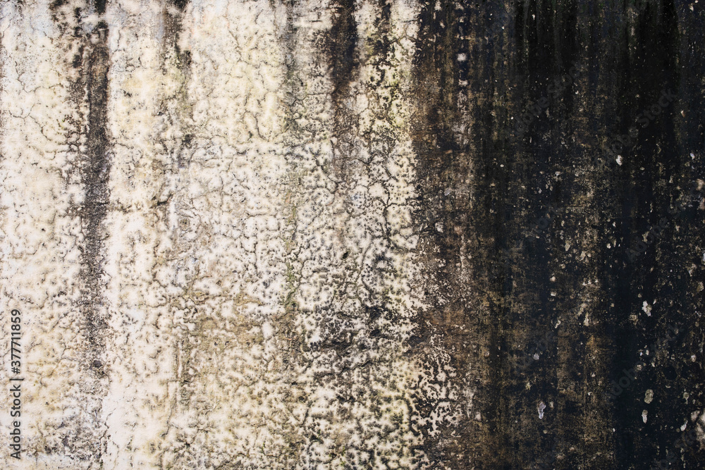 Artistic old Wall Texture For Background Artistic old Wall Texture For Background