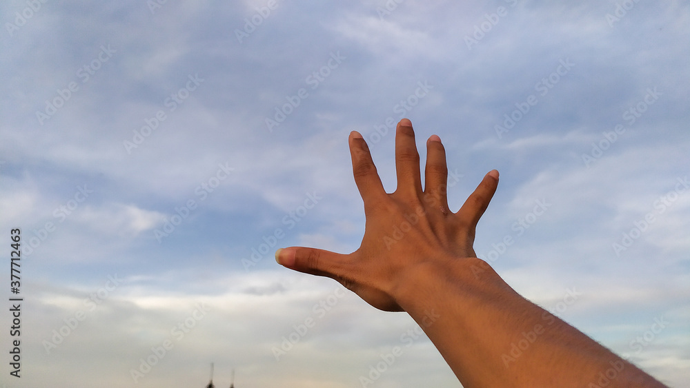 hands holding the leaves, and lifting to the sky hands holding the leaves, and lifting to the sky