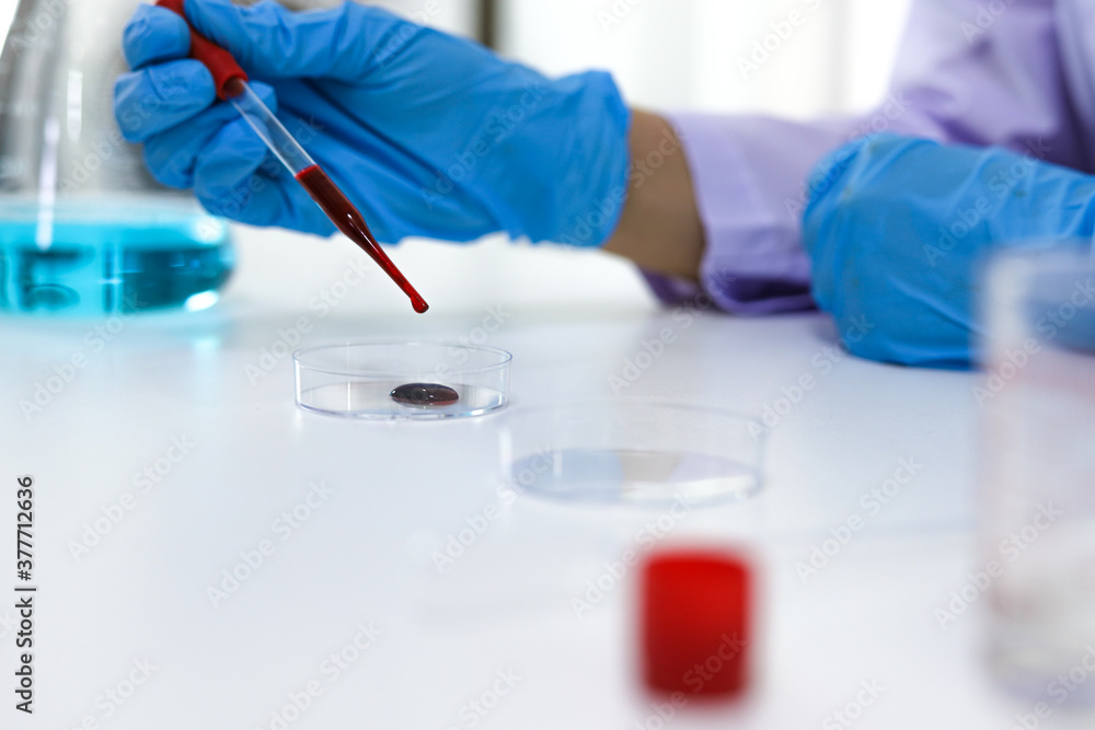 Fototapeta premium Scientist holding Coronavirus covid-19 infected blood sample tube DNA testing of the blood in the laboratory with blood sample collection tubes and syringe Coronavirus Covid-19 vaccine research.