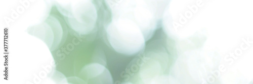 Abstract background. Green Leaf blurred. The bokeh circle from the light shining through.
