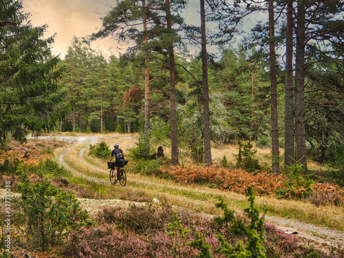 Cycling in a forest in Sweden photo