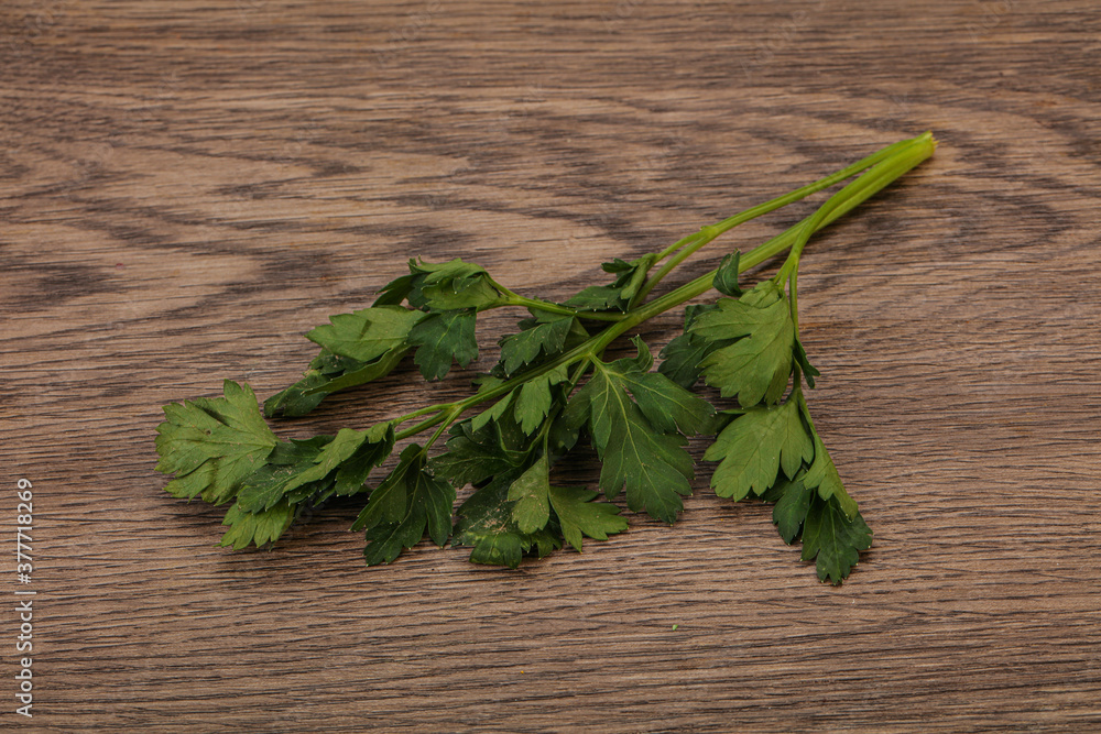 Green fresh parsley branch herb Green fresh parsley branch herb