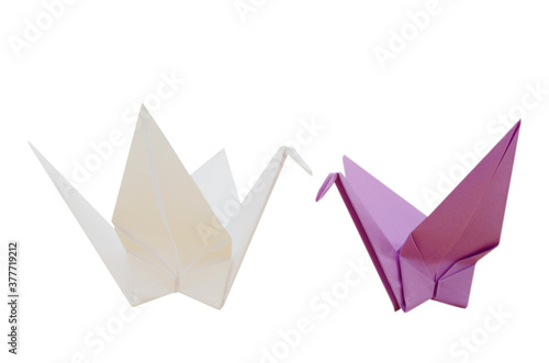 two white and violet origami cranes
