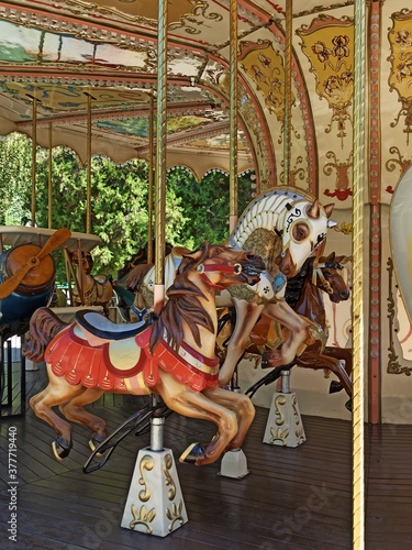 carousel in the park, horses, photo