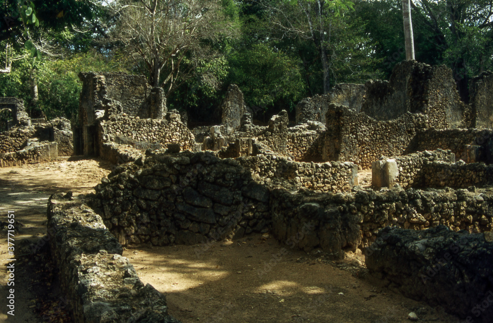excavated ruined city in the jungle of Kenya