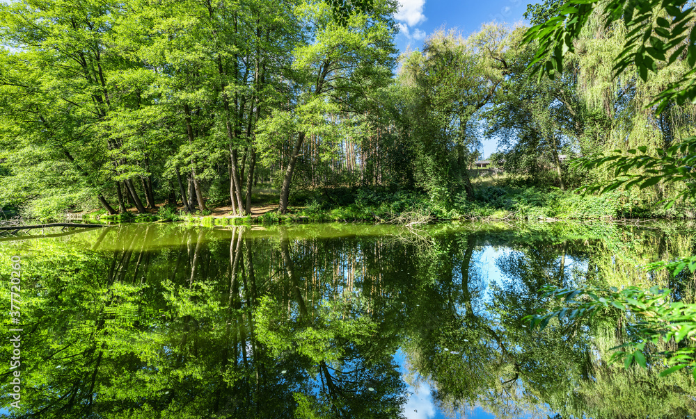 Landscape with trees reflecting, in the water, beautiful summer photography, background. Summer vacation concept.
