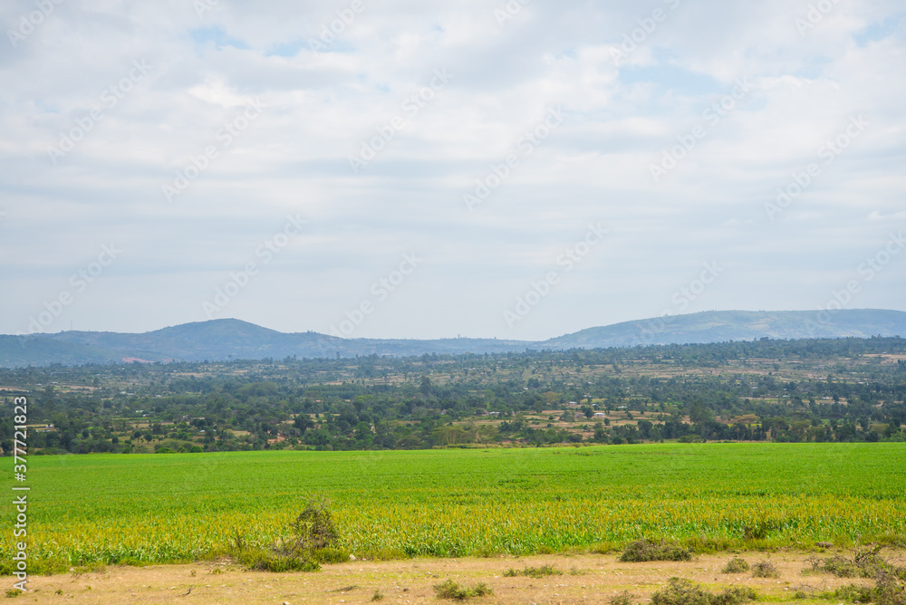 African Farmland and landscapes from Kenya