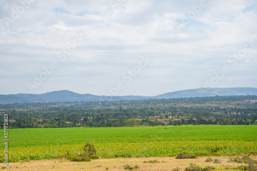 African Farmland and landscapes from Kenya