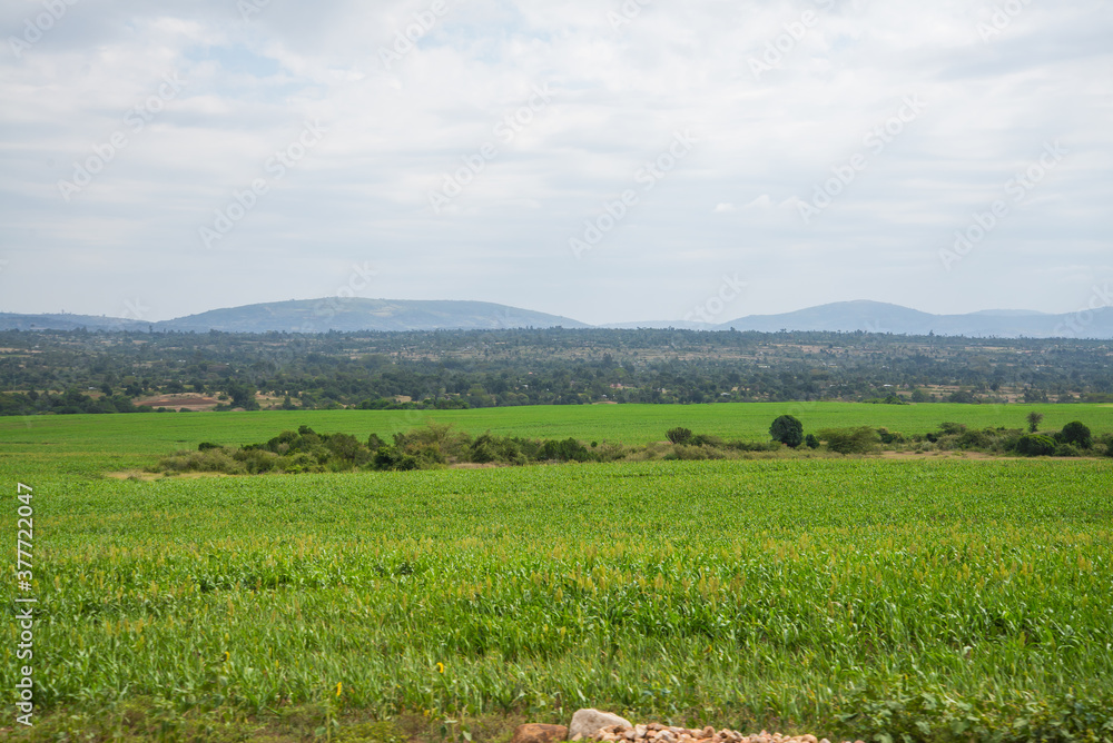 African Farmland and landscapes from Kenya African Farmland and landscapes from Kenya