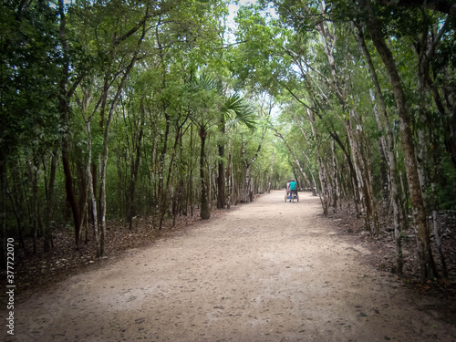 Tricycle guide tourists in Coba, Mexico