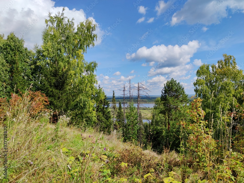 green forest slope near the river on a background of blue sky with clouds