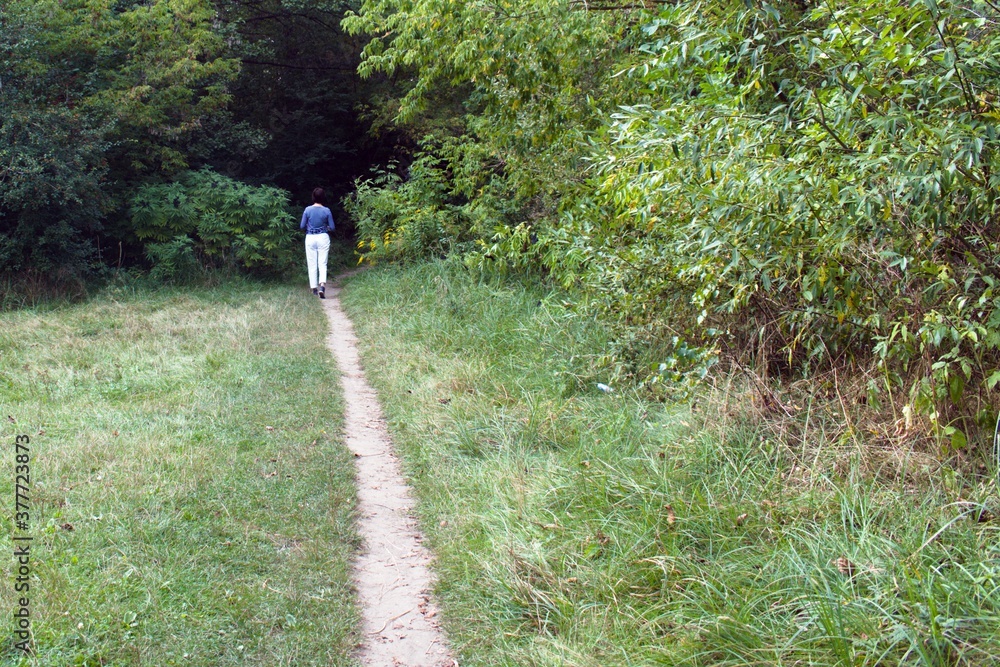 girl in striped T-shirt and white jeans walks along path into dense green forest girl in striped T-shirt and white jeans walks along path into dense green forest