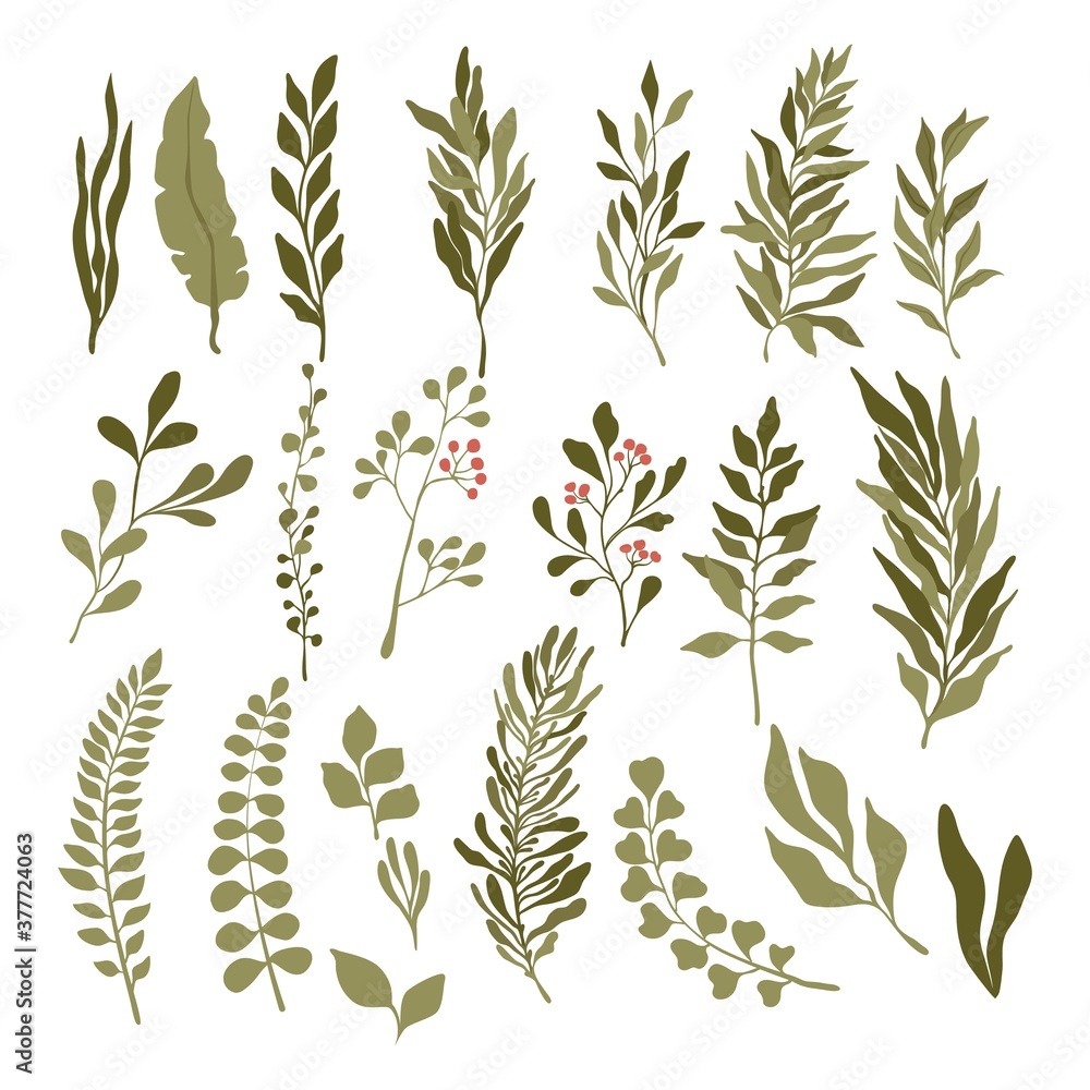 Set of green leaves and branches isolated on white background. Green and fresh summer foliage for the wreath, border, wallpaper design. Elements for wedding, greeting, birthday decoration. Set of green leaves and branches isolated on white background. Green and fresh summer foliage for the wreath, border, wallpaper design. Elements for wedding, greeting, birthday decoration.
