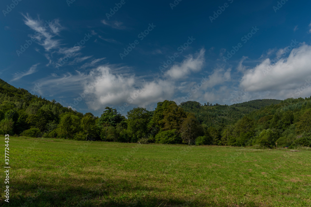 Green meadow and forest near Osadne village in valley of river Udava