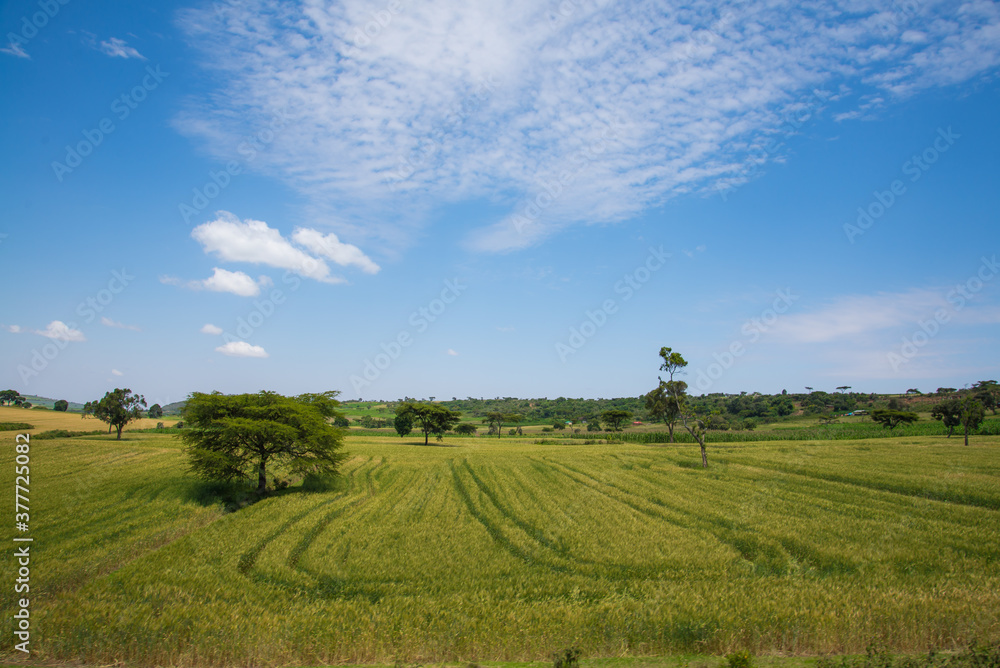 African Farmland and landscapes from Kenya African Farmland and landscapes from Kenya