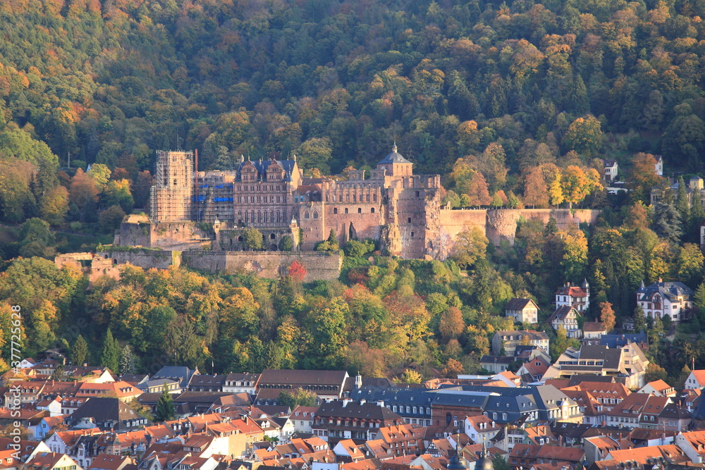 Aerial view of  Heidelberg old town and Castle  during sunset in autumn in Heidelberg, Germany