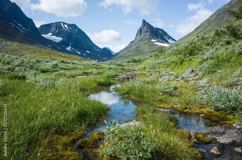 Swedish Lapland landscape. Nallo mountain in northern Sweden. Arctic environment of Scandinavia in summer day