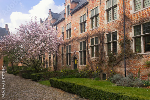 Wallpaper Mural Large beguinage of Leuven, Belgium, Unesco World Heritage Site. Torontodigital.ca
