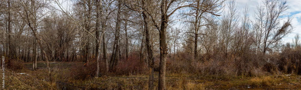 Allphotokz Taldykorgan Nature 20141111 1572 5DM3 PS2 Allphotokz Taldykorgan Nature 20141111 1572 5DM3 PS2
