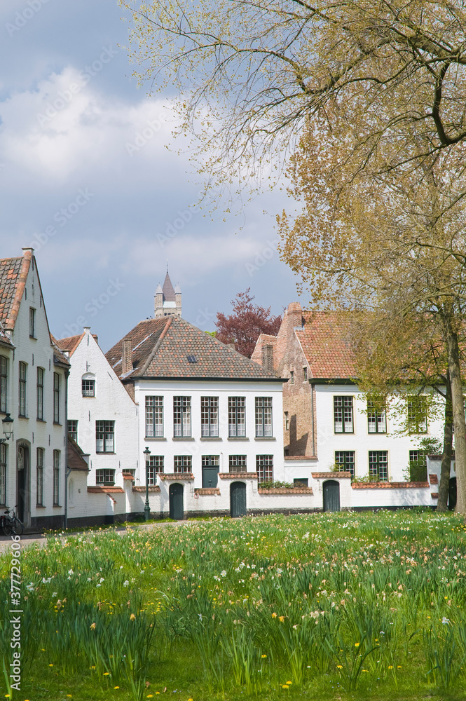 Bruges Beguinage Ten Wijngaerde, Historic centre of Bruges, Belgium, Unesco World Heritage Site.